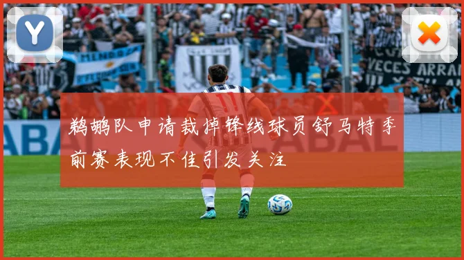 鹈鹕队申请裁掉锋线球员舒马特季前赛表现不佳引发关注