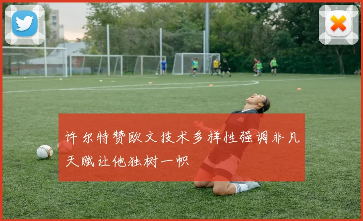 许尔特赞欧文技术多样性强调非凡天赋让他独树一帜