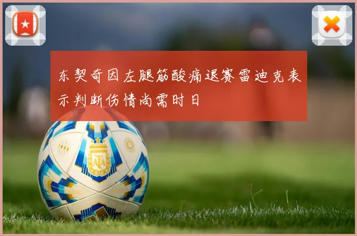 东契奇因左腿筋酸痛退赛雷迪克表示判断伤情尚需时日